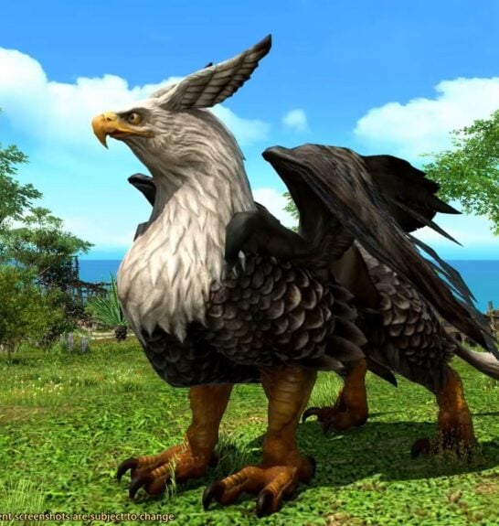 Ffxiv Guide How To Catch A Griffin In Island Sanctuary