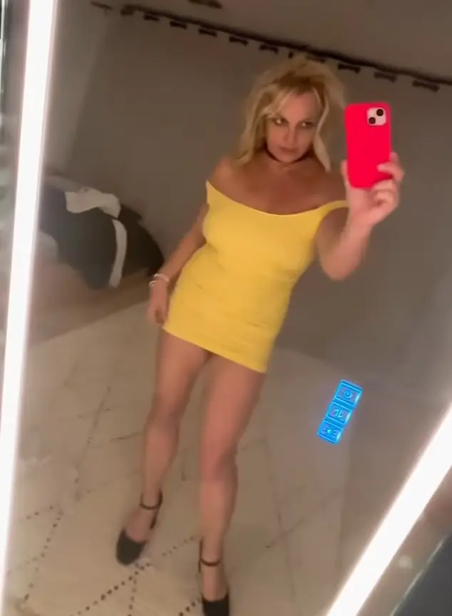 In a series of posts last Saturday, Britney Spears showed off her two party looks, posing in front of a floor-length mirror and checking herself out in two daring minidresses.