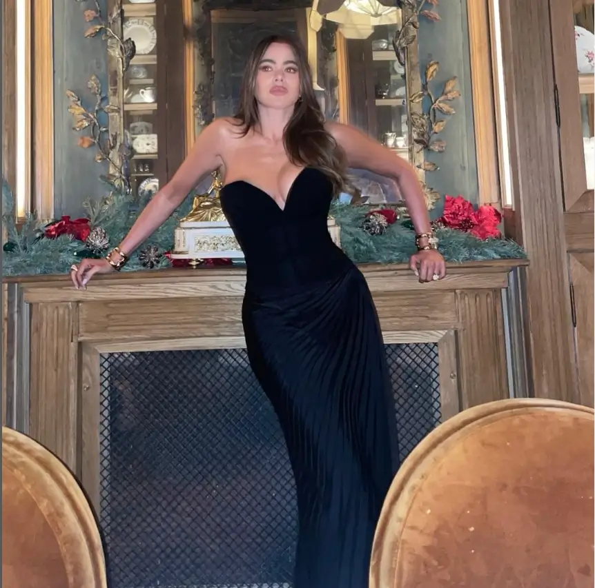 In addition, she posted a stunning photo of herself standing gracefully by the fireplace, showcasing her gorgeous dress.